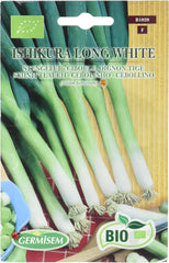 Schnittlauch ISHIKURA LONG WHITE ECBIO1020
