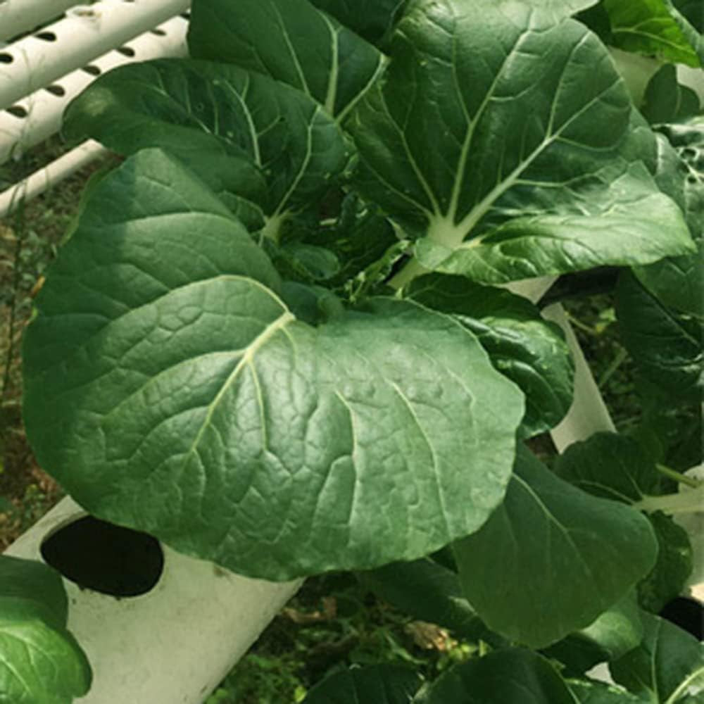 Kit di coltivazione idroponica a 1 strato con 54 fioriere, sistemi di coltivazione di piante fuori suolo in PVC con pompa dell'acqua, kit di coltivazione idroponica per la coltivazione di frutta e verdura su balconi, giardini, cortili e cortili