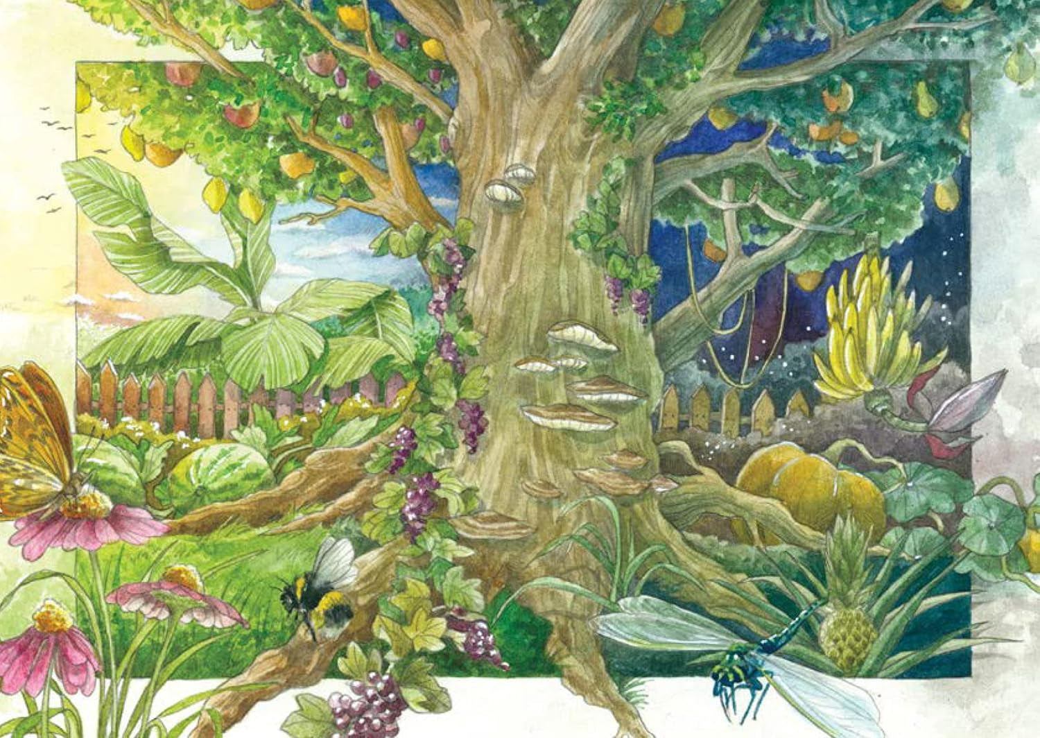Permakultur - Samen-Geschenkset Mit 8 Nutzpflanzen Für Den Waldgarten