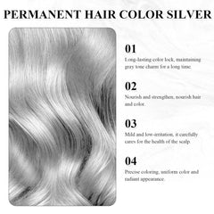 Vopsea de păr Grey Silver Natural Silver Gray Hair Dye Cream, Grey Hair Dye Cream Silver Gray, Silver Gray Natural Hair Dye Cream Grey Hair Dye pentru toate tipurile de păr cu 1 Scalp Massager (100ml) Vopsea pentru par Naty Shop