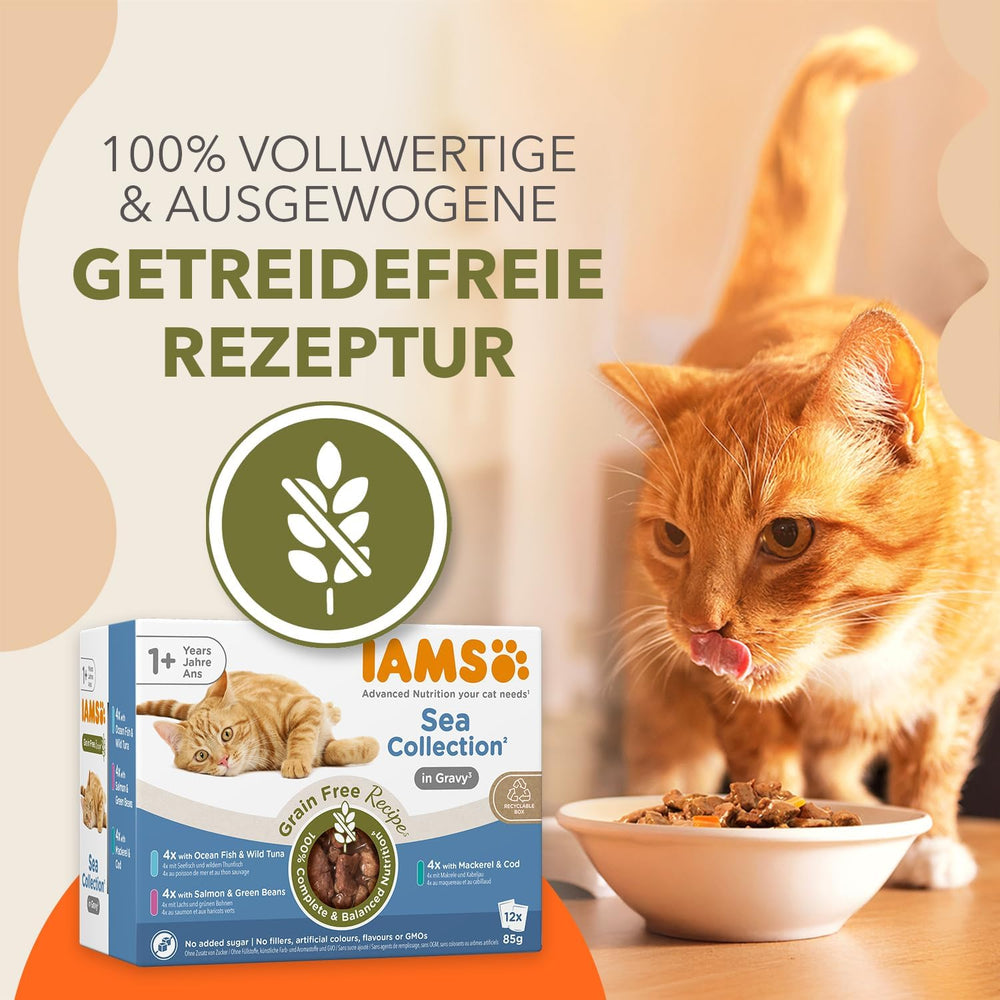 IAMS Delights Sea Collection Hrană Umedă pentru Pisici fără Cereale - Pachet Multiplu cu Varietăți de Pește în Sos, Hrană Umedă fără Cereale pentru Pisici de la 1 An, 12 x 85g