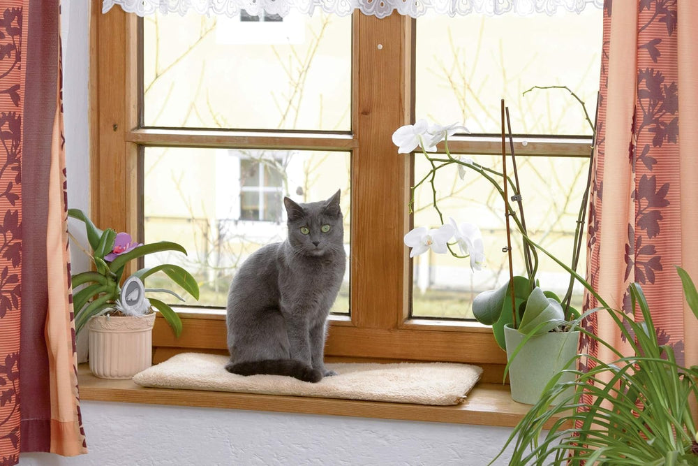 Pături & Mobilier, Animale de companie, Pisici, Paturi pentru pisici, Covorase pentru zgarieturi, Pisici - culcusuri, saltele