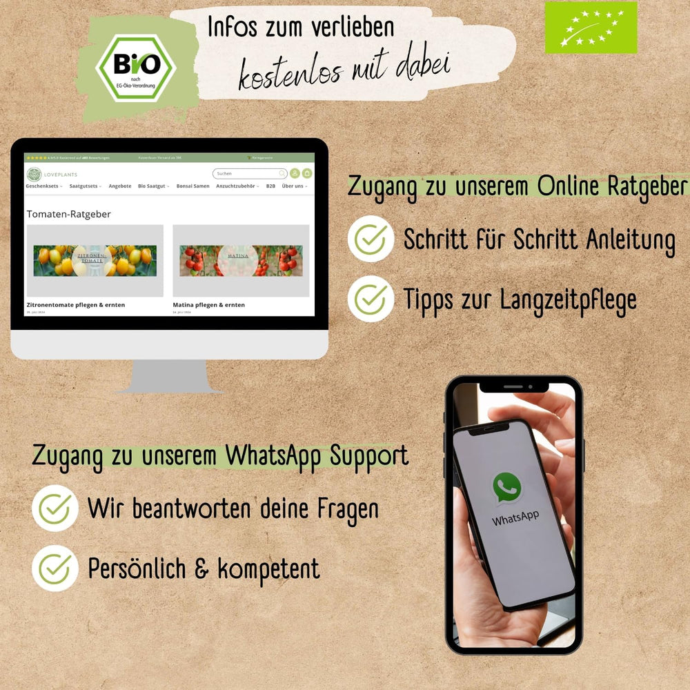 Set di mini semi di pomodoro biologico: 12 varietà di pomodori coltivati ​​liberamente | Semi di pomodoro raro e familiare, ciliegia e bistecca | Sementi di ortaggi per balcone, aiuola rialzata, giardino e regalo | Piante d'amore