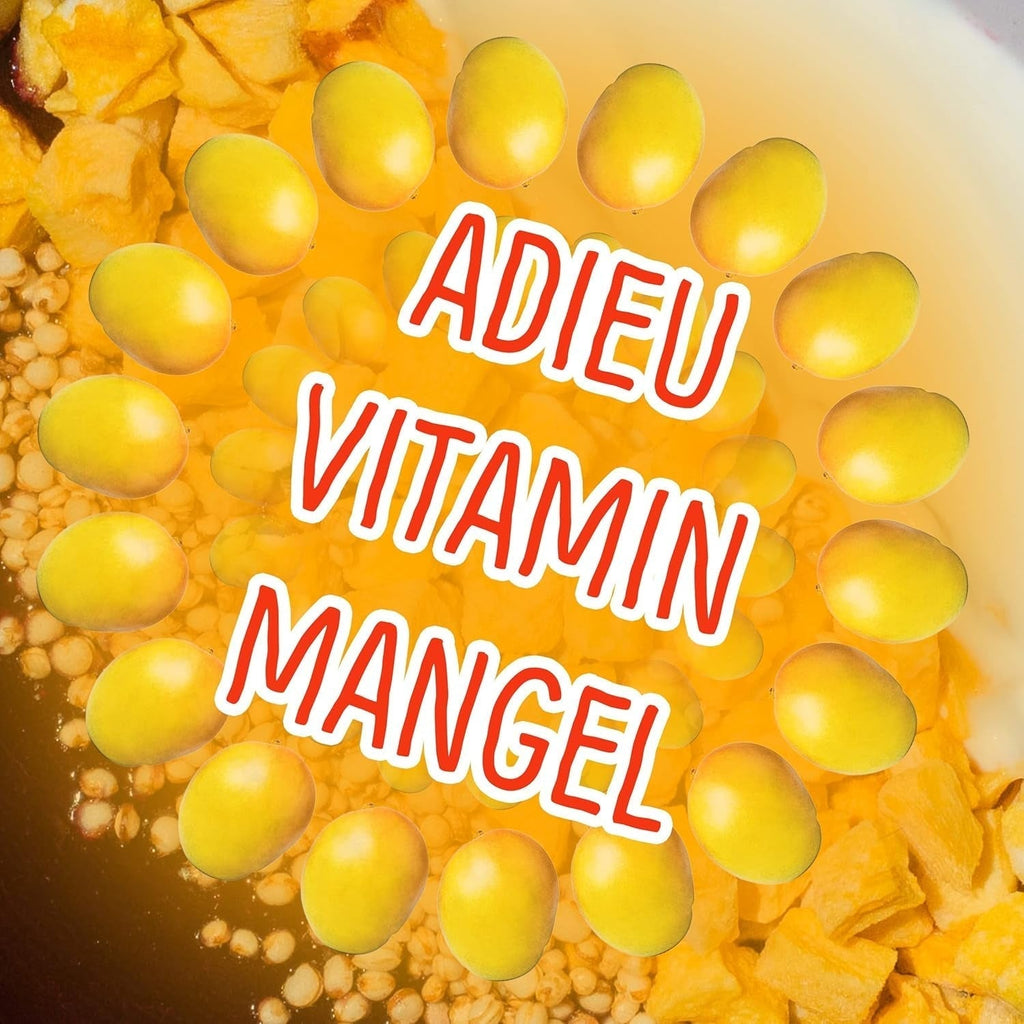 Mango liofilizat: 100g fructe liofilizate din bucăți fragede de mango fără zahăr adăugat - mango uscat - mango uscat - fructe uscate - fructe uscate de la NutriPur Produse deshidratate Naty Shop