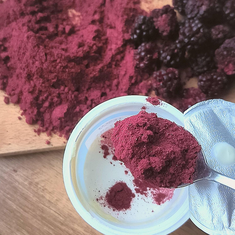 Mure liofilizate în pulbere | 100% pulbere de fructe liofilizate Fructe naturale uscate fără aditivi | pulbere de fructe Fructe liofilizate pulbere de mure Produse deshidratate Naty Shop