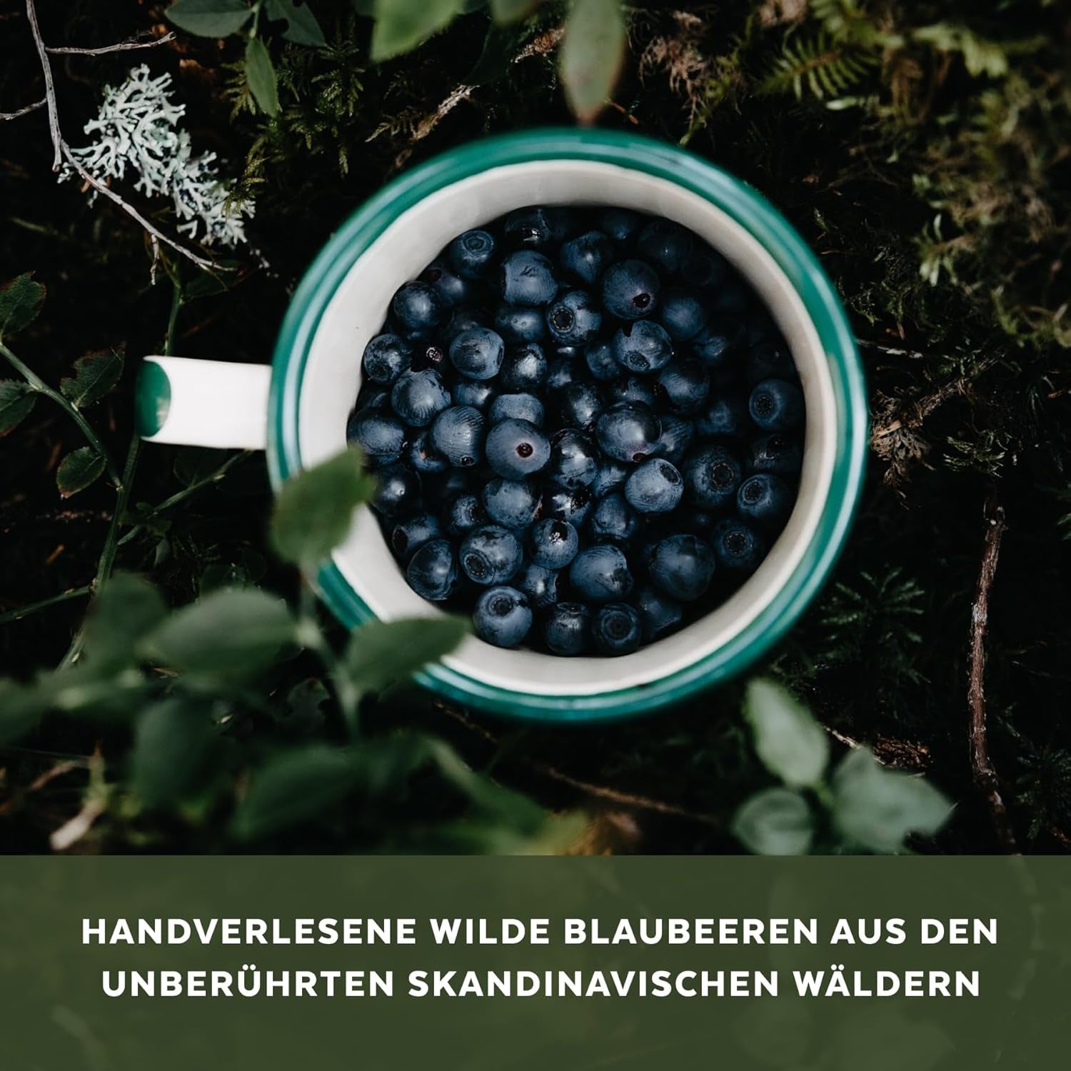 Pulbere organică de afine sălbatice, afine întregi liofilizate, 100% calitatea alimentelor crude, bogate în antioxidanți și vitamina C, fără zahăr adăugat, recoltate în Europa de Nord Produse deshidratate Naty Shop